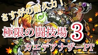 【パズドラ】極限の闘技場３（カエデアナザーPT）