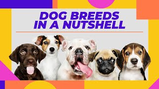 DOG BREEDS IN A NUTSHELL | List of dogs | Lancashire Heeler | Norwegian Lundehund | Leonberger