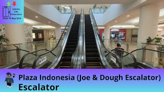 Brand New Sigma escalator at Plaza Indonesia | Jakarta (Joe \u0026 Dough Escalator)