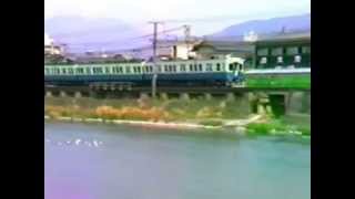 ユリカモメと京阪特急1982　京阪電鉄 鴨川築堤04　2600系