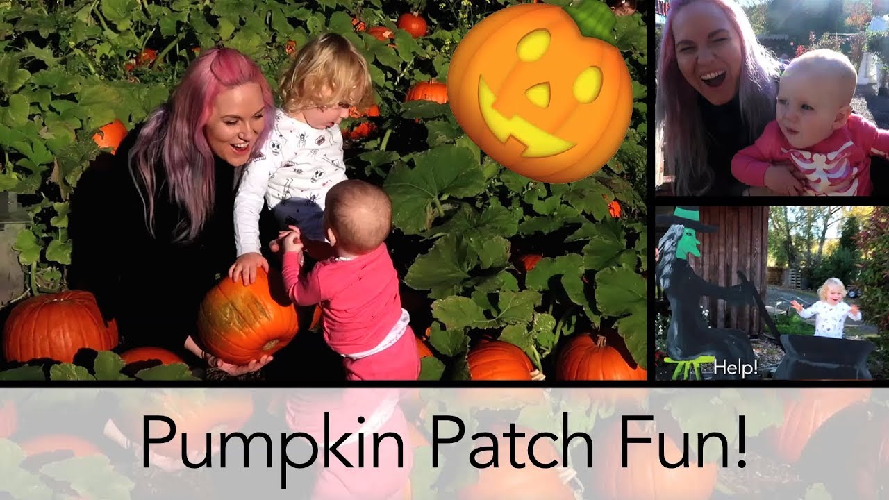 Pumpkin Patch Fun Youtube