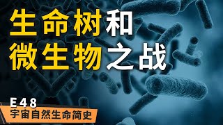 我方溃败 丨 微生物有多强大?本期为你揭晓