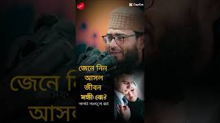 সেই প্রকৃত জীবন সঙ্গী যে হাজারো ঝগড়া হলে কখনো আপনাকে ছেড়ে যাবে না|আনারুল হক আসিফ হুজুর |#viralshorts