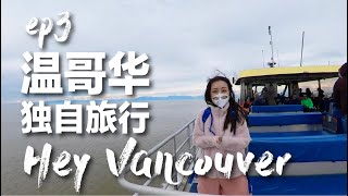 Hey Vancouver! ｜独自旅行【温哥华】EP3 | 观鲸之旅｜Whale Watching｜Granville Island｜Brunch in DT｜加拿大｜北美生活｜旅行Vlog