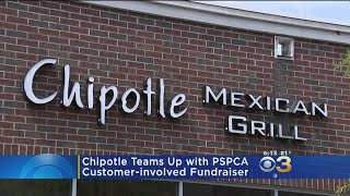 Local Chipotle Locations Take Part In PSPCA Fundraiser