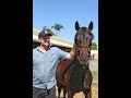 Lot 740 Magic Millions - Snitzel x Sananda filly