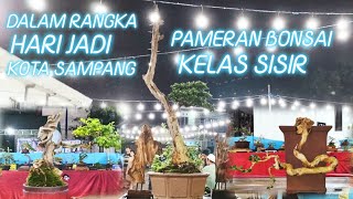 Pameran Bonsai Kelas Sisir PAMLOK SAMPANG