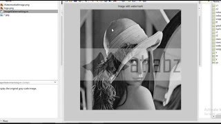 Image watermarking and detection