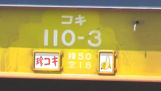 コキ110を見たい【貨物列車】