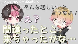 【シクフォニ切り抜き】配信スタイルが違いすぎる2人【らんくん】【みことくん】