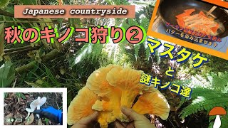 秋のキノコ狩り❷ マスタケが採れたので食べてみた　謎キノコ６種類　Autumn Mushroom Picking I Caught Mustakes, So I Tried To Eat Them