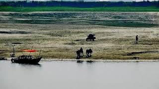 টাঙ্গাইলের মির্জাপুরে বংশাই নদীতে অবৈধভাবে বালু উত্তোলনের মহোৎসব চলছে