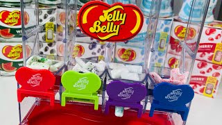 Jelly Belly Gum! Which would you choose?! #gum #jellybelly #jellybellygum #candy #asmr