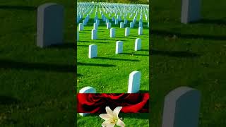 Memorial Day Respect