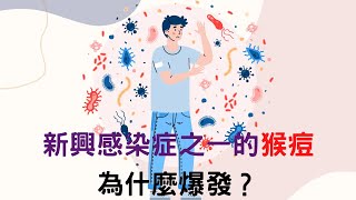 新興感染症之一的猴痘 為什麼爆發？｜好心肝˙好健康