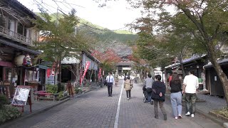 「谷汲山華厳寺」西国三十三所第33番札所 紅葉の季節 参道から境内の様子