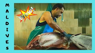 Insane Speed: Cleaning 50Kg Tuna in Seconds at Maldives Fish Market