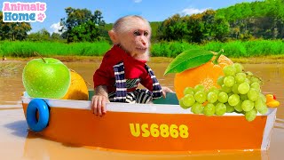 Smart Obi monkey uses a boat to pick fruit and make jelly