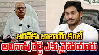 జగన్ కు బాబాయ్ కంటే అవినాష్ రెడ్డి ఎక్కువైపోయారు | Yanamala Fires On Jagan | ANN Telugu