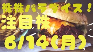 株株パラダイス！2021/6/14(月) の注目株を分析！以前、世界的 外資系 金融機関４社に勤務し、統括部長を経験した 株パラ がお送りします！！！