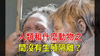 人類和什麼動物之間沒有生殖隔離？