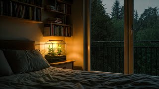 Eliminate Insomnia with Gentle Rain Sounds - Rain to Sleep \u0026 Relaxation