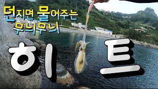 무늬오징어 에깅낚시 도보권 첫캐스팅에 히트!!던지면 물어주는~~!!(Ulleungdo Big fin squid  fishing,Sea Lure Fishing)