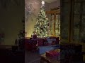 cozy christmas eve and the kids are asleep christmaseve cozychristmas christmas2024 readyforgifts