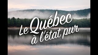 Barronsnous dans les Laurentides  Québec  Canada