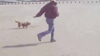 Max at the seaside!!_0001.wmv