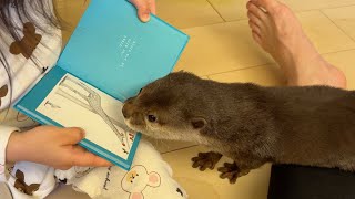 カワウソに本読んであげたりいい子いい子してあげたりしたい子供 Child who want to read books to otters.