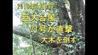 2018/9/4　巨大台風21号が直撃