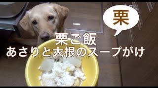 犬の手作りご飯：栗ご飯、あさりと大根のスープがけ