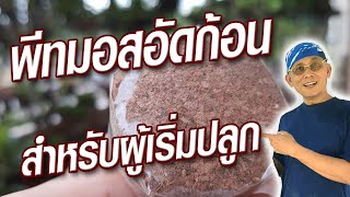 พีทมอสอัดก้อน สำหรับคนรักปลูก มือใหม่หัดปลูก 1080p,#Shorts,@krusawat