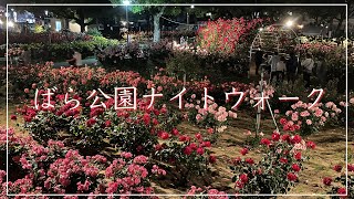 【福山ばら公園ライトアップ】満開のバラ公園ナイトウォーク（広島県福山市）／備後カメラ部