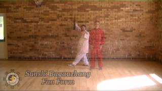 Sunshi Baguazhang And Feng Shou Gong fu