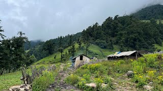 Daily Life of Nepali Mountain Village || Nepal Mountain Village Lifestyle ||  IamSuman
