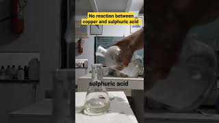 copper doesn't react with sulphuric acid. #chemistry #youtubeshorts #science