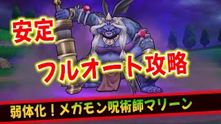 【ドラクエウォーク】呪術師マリーン！安定フルオート攻略！！【ドラゴンクエストウォーク】