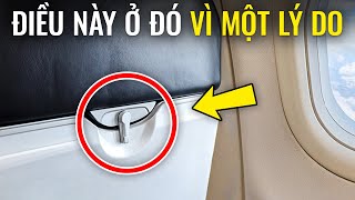 Những tính năng bí mật làm cho những thứ hàng ngày trở nên tuyệt vời