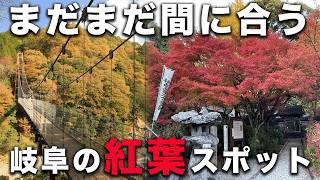 【73.74/283】これから見頃！岐阜のおすすめ紅葉スポットへドライブ