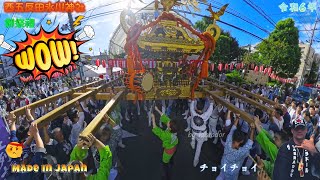 令和6年　西五反田氷川神社 御祭禮  昭和5年建造の宮神輿 品川拍子担ぎ　おもてなし渡御　　迫力満点です。