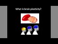 Aging, Exercise and Brain Plasticity | Basic Science World Congress Keynote Session