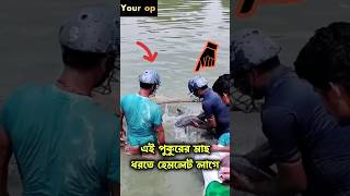 এই পুকুরে মাছ ধরতে গেলে হেলমেট পড়তে হয়। 👷‍♂️🐟 #পুকুর #পুকুরে_মাছ_চাষ #হেলমেট #মাছ #মাছধরা #মাছের