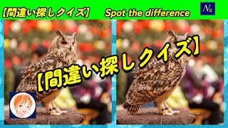 【間違い探しクイズ】NSチャンネル　脳トレ　３か所の間違い探し　　仲間外れ1か所