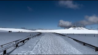 [ Driving Japan ] The beautiful spring snow fields are just three and a half hours away from Tokyo.