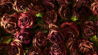 Dead Flowers (Originally by The Rolling Stones)