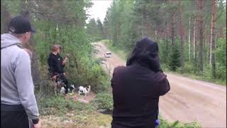 Elfyn Evans Mäntyharju pre-tests Neste Rally 9-10.07.2018