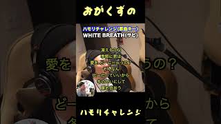 WHITE BREATH~ハモリチャレンジ#shorts #ハモリチャレンジ#歌ってみた