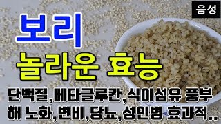 [#보리효과] 보리의 놀라운 효능 10가지 (단백질,베타글루칸,식이섬유 풍부해 노화,변비,당뇨,성인병 효과적..)